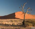 Namib Çölü, Namibya